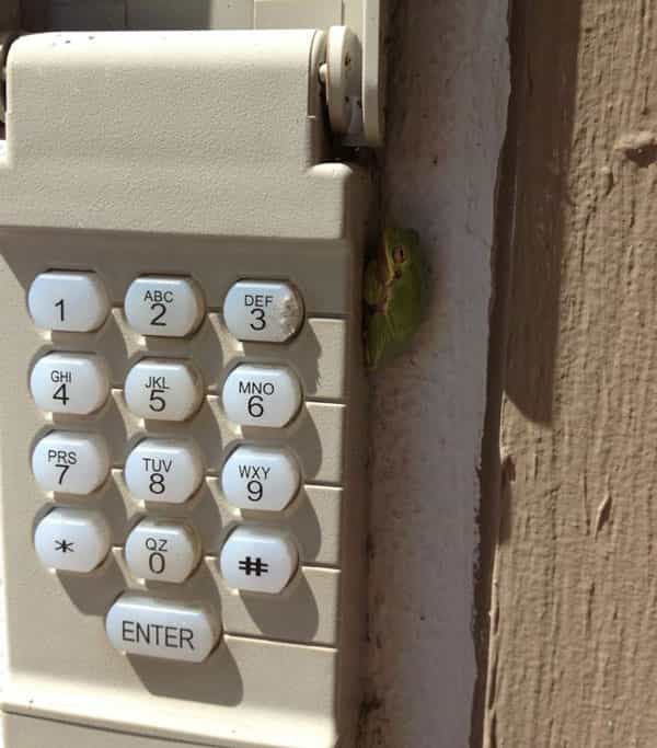 Opener keypad garage door repair Portland